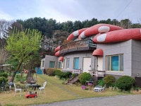 포천 빨강버섯스머프