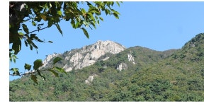 거제홍포펜션
