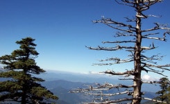 지리남원초원민박