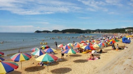 태안 만리포엄지펜션