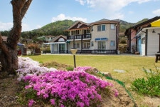 예산 오아시스펜션