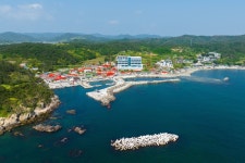 포항 마담아네뜨풀빌라(애견동반가능)