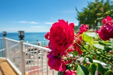 삼척 씨엔블루펜션