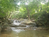 울산 대운산계곡펜션