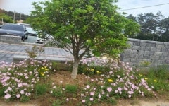 무안 비엔또솔비치 펜션