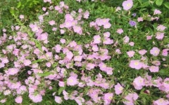 무안 비엔또솔비치 펜션