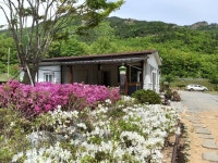 상주 문장대 힐링하우스