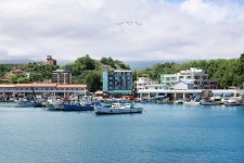 양양오션뷰애견펜션 플로라