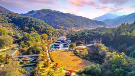 상주 아이사랑키즈풀빌라(21년11월 신축)