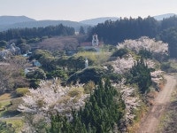 제주 여누스테이