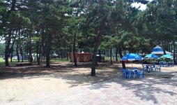 태안 몽산포해변펜션