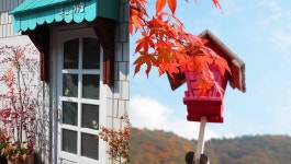 백암산장펜션/애견동반