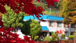 백암산장펜션/애견동반