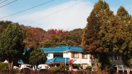 백암산장펜션/애견동반