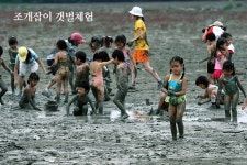 부안 솔섬하우스펜션