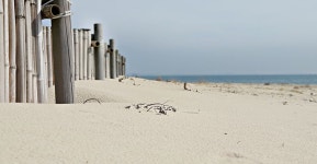 태안 학암포하늘펜션