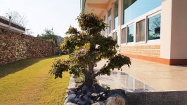 부안 석란정 펜션