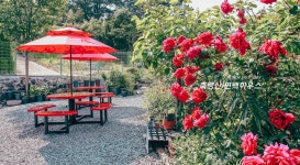 전라장성축령산편백하우스