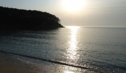 태안 천리포은하수펜션