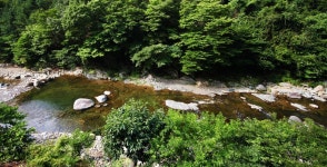 지리하동고동골펜션