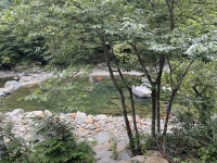 지리하동고동골펜션