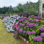 완도청산도예그리나펜션