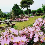 완도청산도예그리나펜션