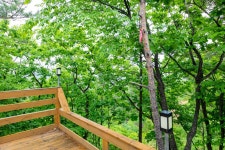 양양 청종힐링숲 펜션