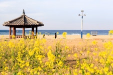 속초 해뜨는집 펜션