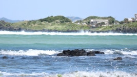 하도 포시즌스 펜션