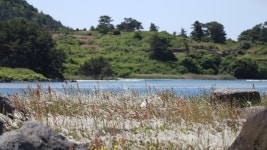 하도 포시즌스 펜션