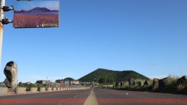 하도 포시즌스 펜션