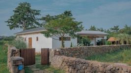 제주 섭재