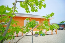 부안 변산반도 고사포 황토펜션