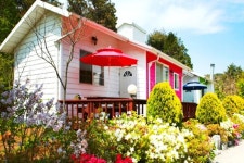 안면도 수수꽃다리 펜션