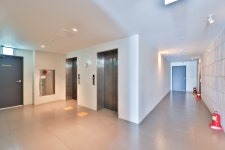 울산 브라운도트 삼산점