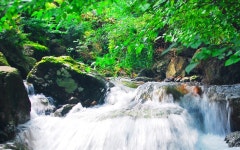 담양 추월산 별아래 펜션