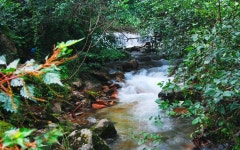 담양 추월산 별아래 펜션