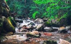 담양 추월산 별아래 펜션