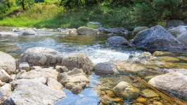 별다리글램핑장