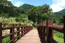 용추계곡의아침