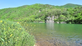 호미인문경2