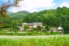 평창 금당롯지펜션