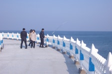 영덕 후펜션