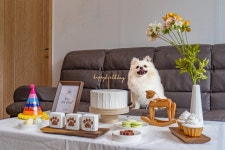 연천 행복하개 애견 펜션