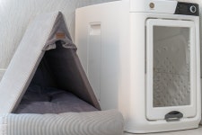 연천 행복하개 애견 펜션