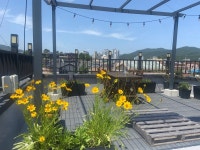 순천 스테이 레브