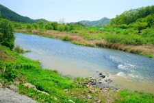 청주 해찬솔펜션