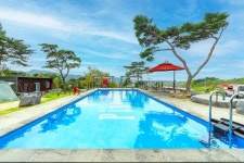 보령 애견 동반 펜션 피노비스타 ( 2인기준 반려견 2마리기준 )... 가능 보령 애견 동반 펜션 피노비스타  ( 2인기준 반려견 2마리기준 )  캠핑체험... 