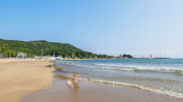 포항 올레애견글램핑펜션